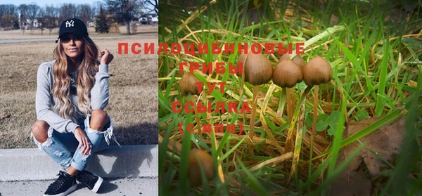 соль курить ск Алзамай